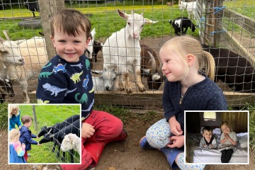 Cómo es acampar en la granja de Pippa Middleton con tirolinas y animales
