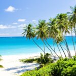 ¿Cuándo es el mejor momento para ir a Barbados?