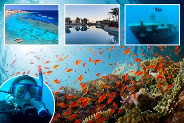 Aprende a bucear entre los arrecifes vírgenes del Mar Rojo alrededor de Sharm el-Sheikh en Egipto
